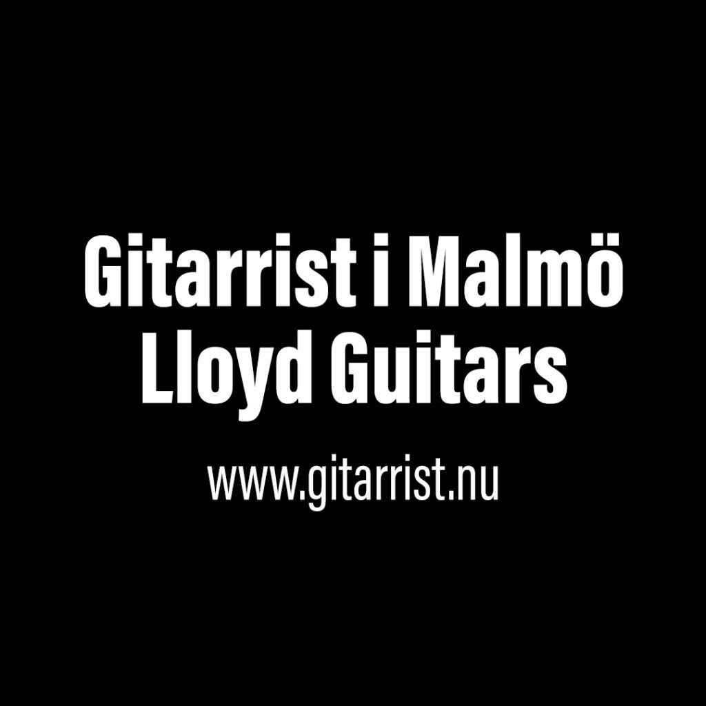 Gitarrist i Malmö/Lloyd Guitars